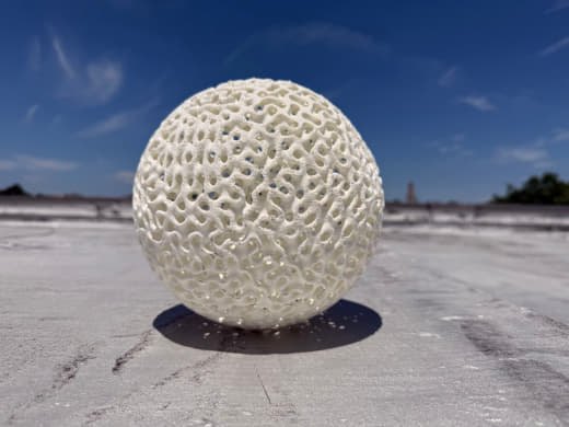 MOONBALL detail — In the wild